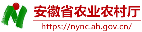 安徽省农业农村厅