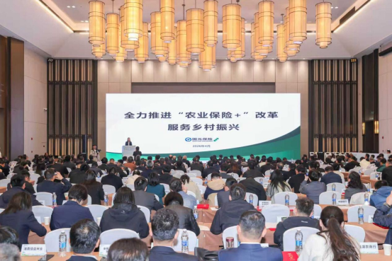 2026年4月13日金企对接会——国元农业保险股份有限公司王银玲发言